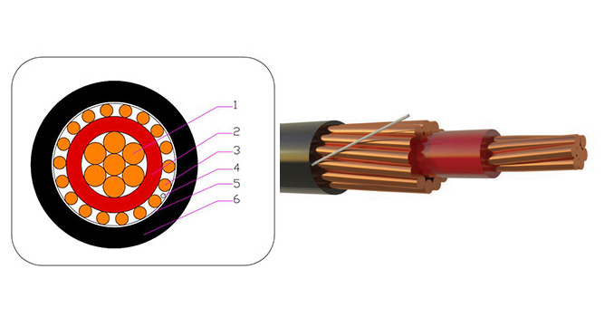 SERVICE ENTRANCE CONCENTRIC CABLE-AFRICA-1.jpg