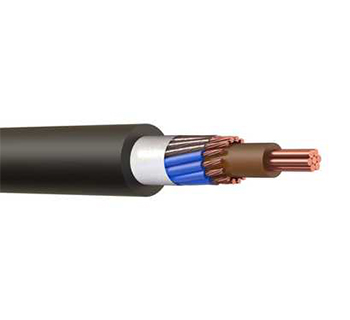 Concentric and Split Concentric Cables-BS